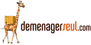 logo_demenagerseul